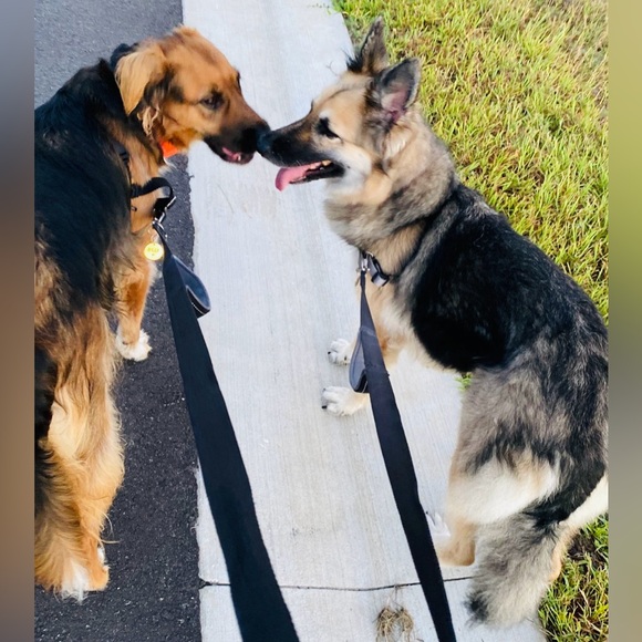 Meet your Posher, Clau - Picture 4 of 7